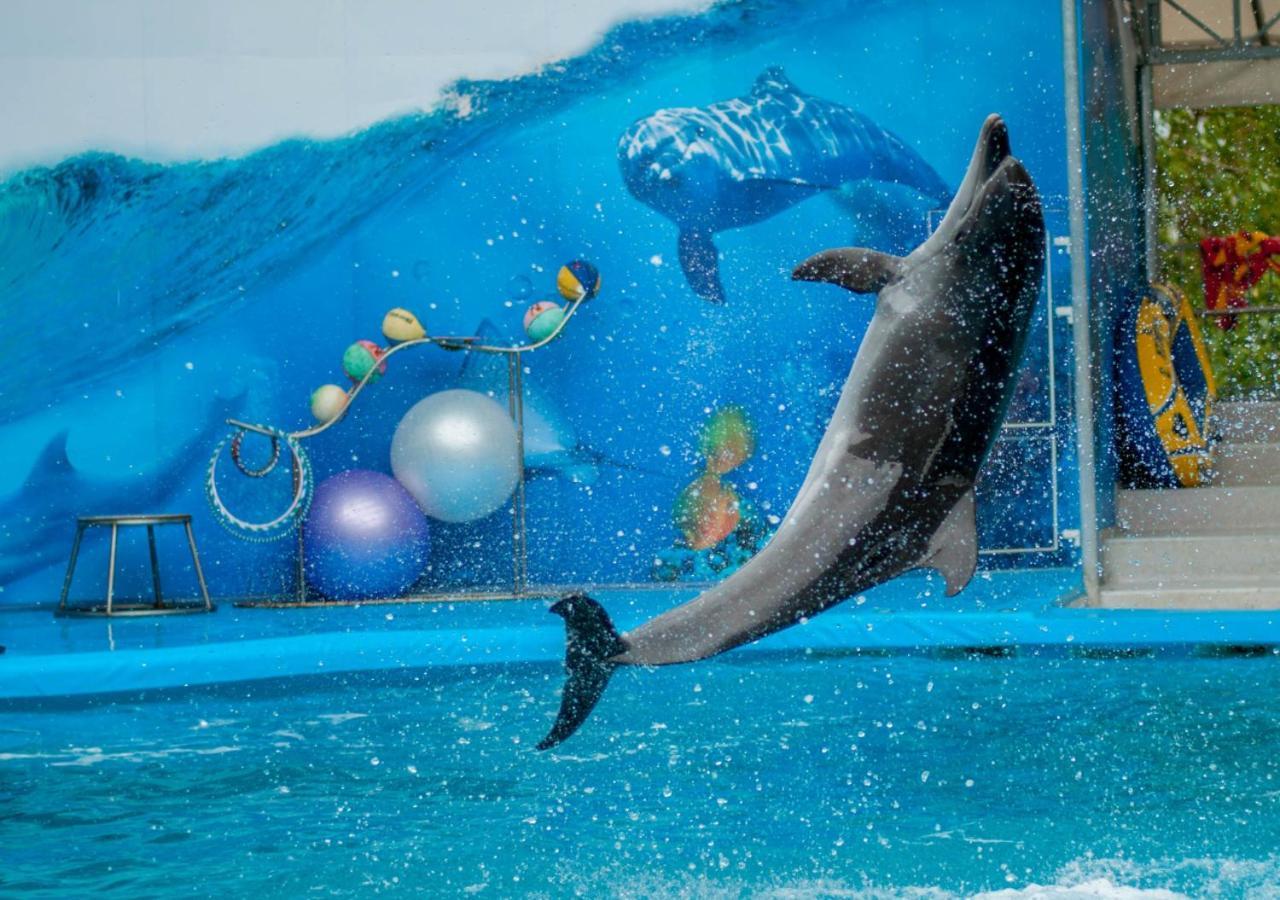 Moevenpick Hotel Apartments Al Mamzar Dubai Ngoại thất bức ảnh Dolphin show at the park